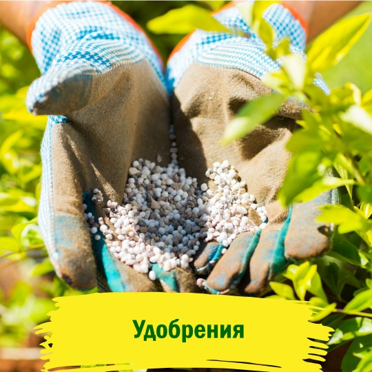 Удобрения минеральные и органические